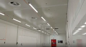 Food processing production area with overhead industrial lighting