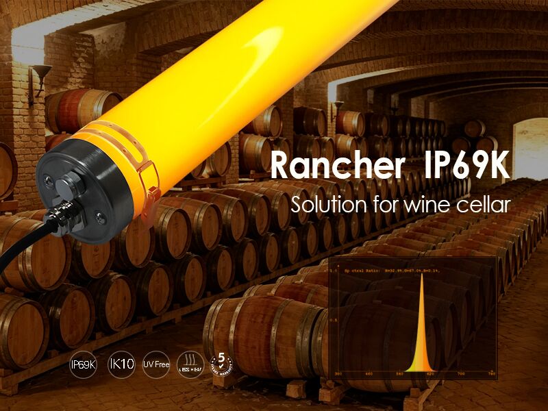 IP69K Rancher tri-proof lights for wine cellar