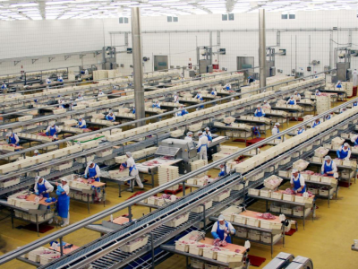 Lighting for food processing loading docks and outdoor corridors
