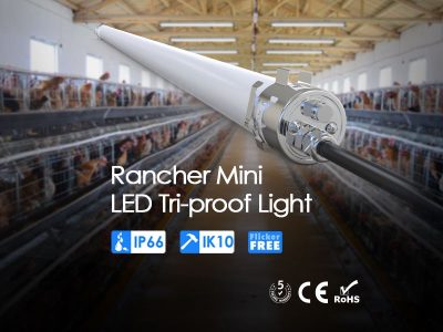 Rancher Mini Tubular Lights IP66 tubular light