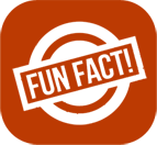 fact Icon