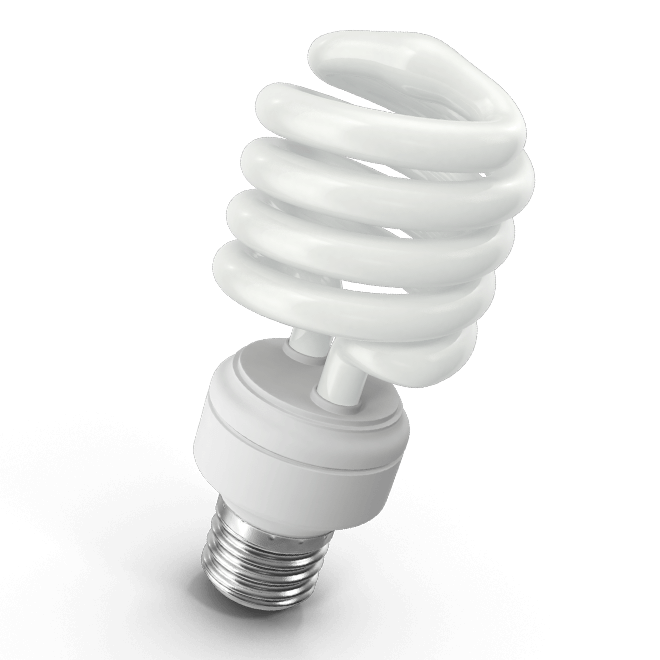 Compact fluorescent bulb for poultry lighting comparison.