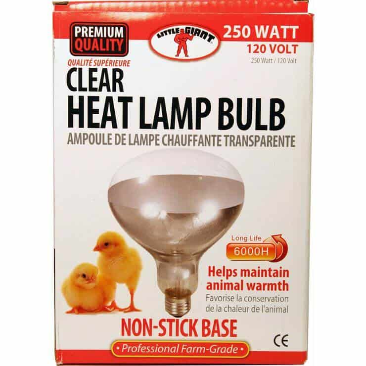 Incandescent poultry lighting bulb.