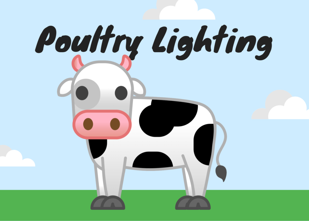 Poultry Lighting