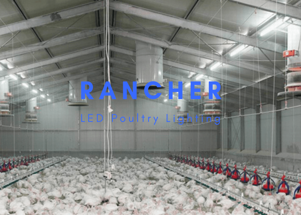 Rancher