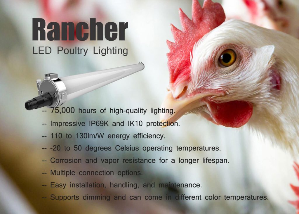 Rancher Poultry Lighting