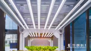 LED Tube Lights