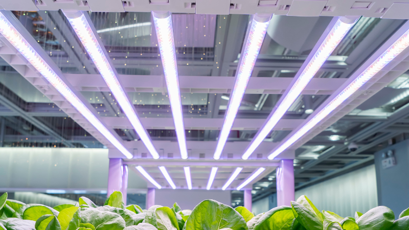 Top 10 Factors to Consider While Choosing LED Lights