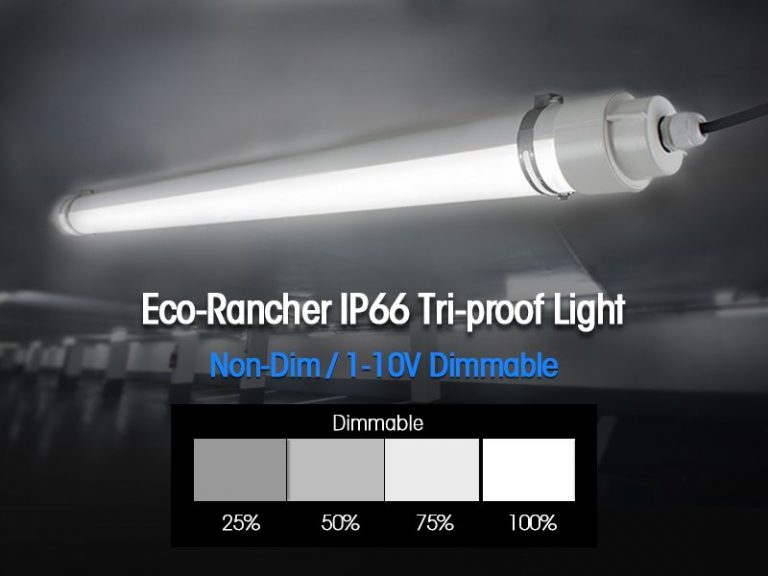 DIP Switch Eco-Rancher triproof light (8)