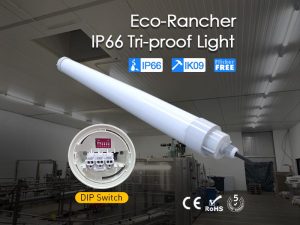 Eco-Rancher IP66 LED Tri-proof Light