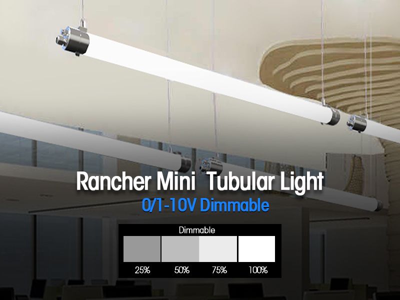 Rancher Mini Tubular Lights (10)