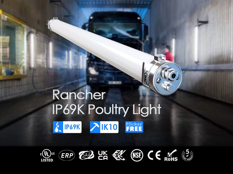 Rancher IP69K Poultry Light