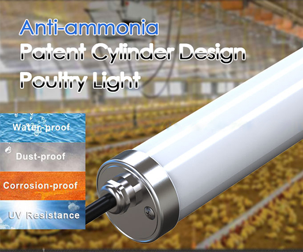 water proof, dust-proof, corrosion-proof, UV resistance triproof light