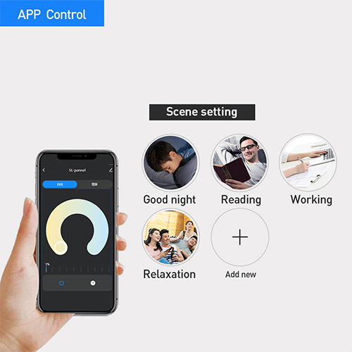 cell phone APP control