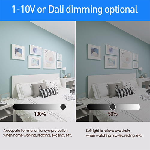 1-10V or Dali dimming optional
