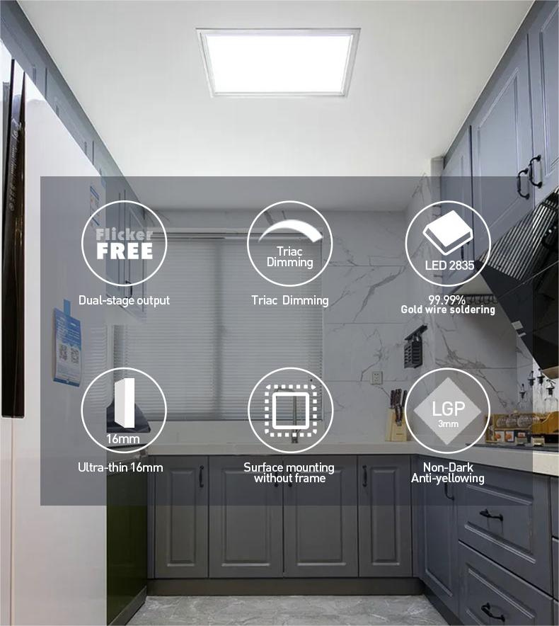 panel light overall introduction properties