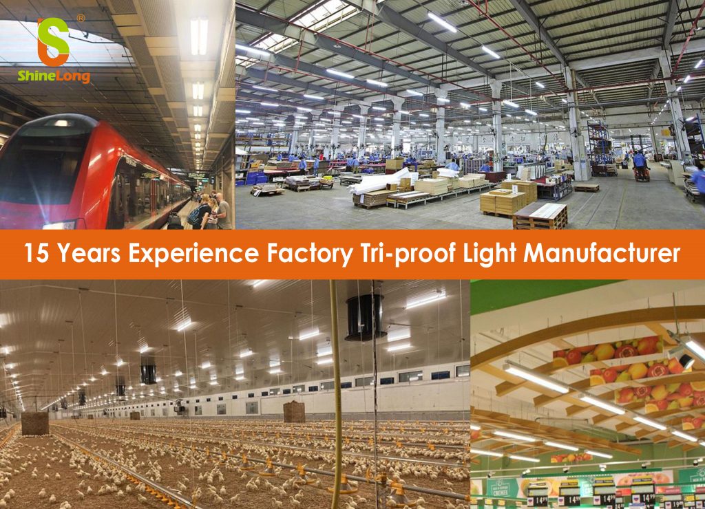 15 Years Experience Factory Tri-proof Light Manufacturer-ShineLong