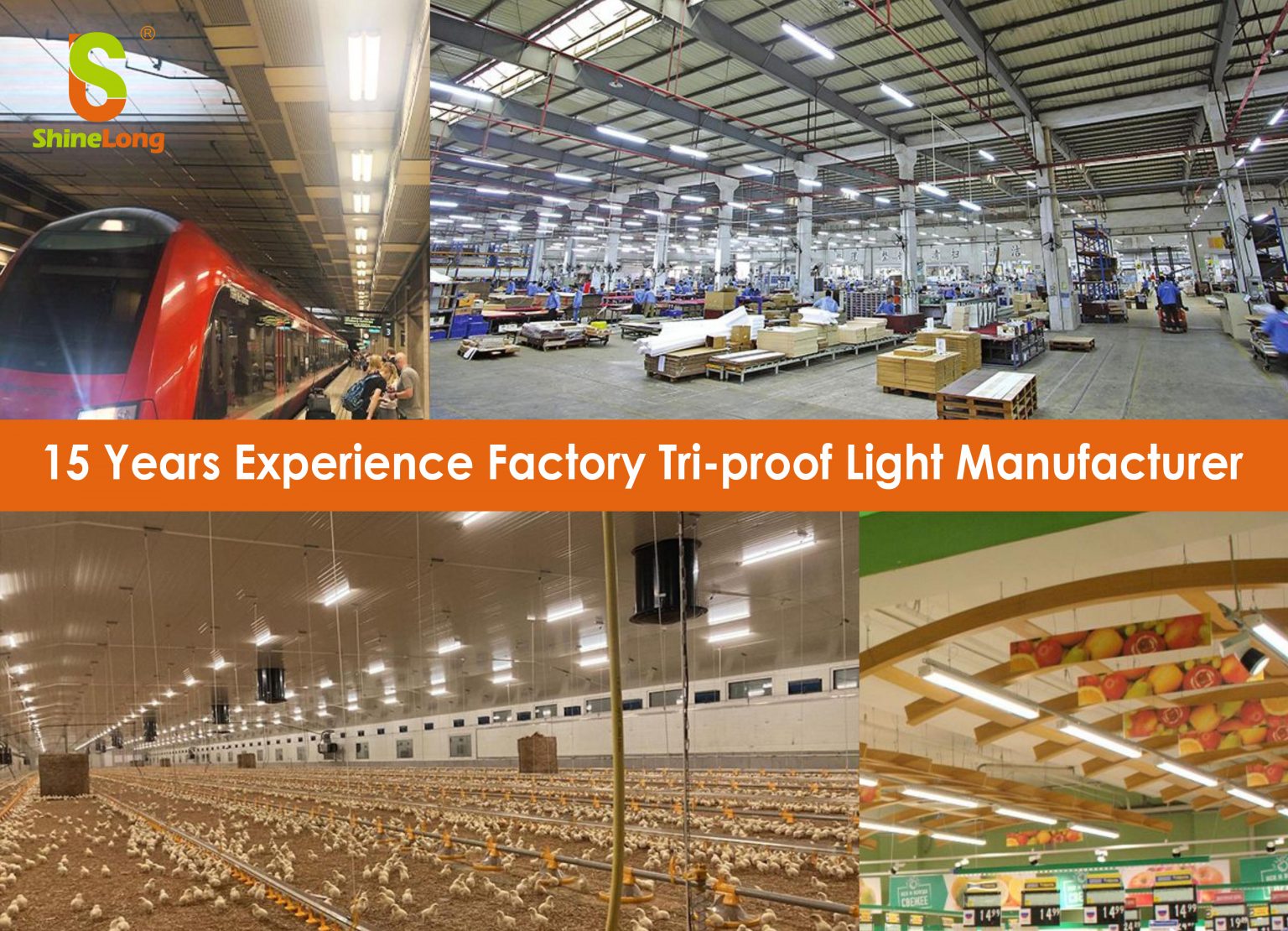 15 Years Experience Factory Tri-proof Light Manufacturer-ShineLong