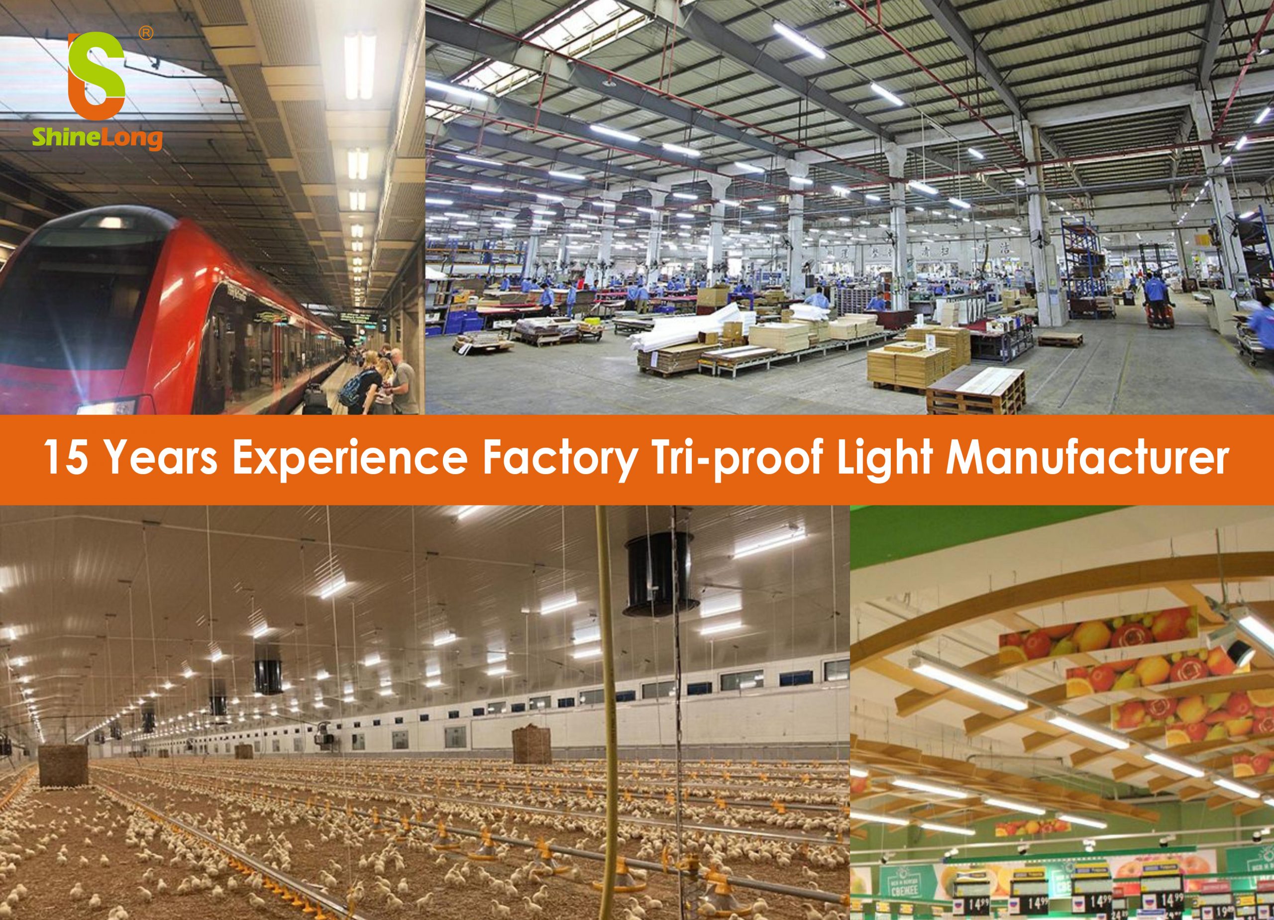 15 Years Experience Factory Tri-proof Light Manufacturer-ShineLong