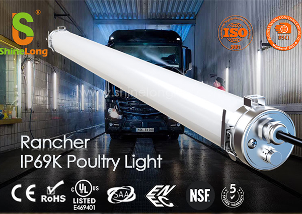 Rancher IP69K Poultry LED Tri-proof Light