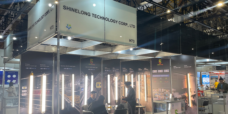 lighting fair
