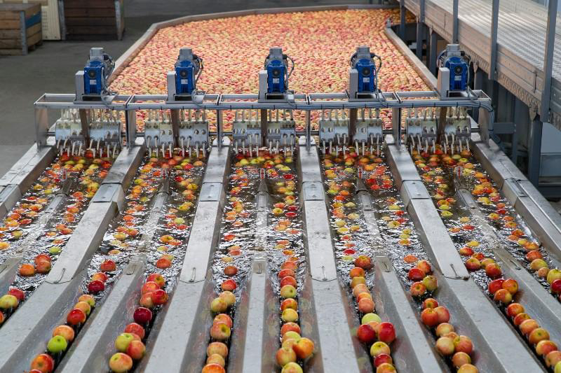 lighting for food cleaning