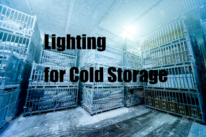 cold storage lighting