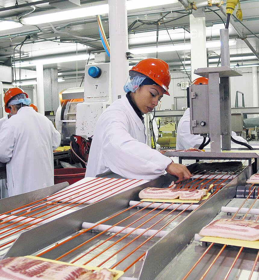 Meat processing industry lighting environment