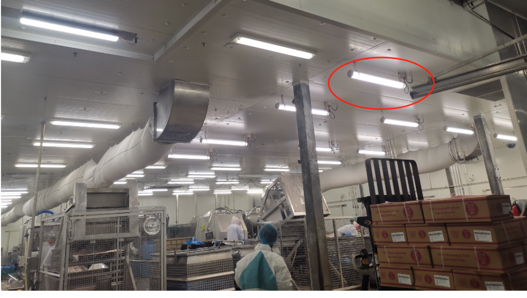 Food processing light in Danish factory