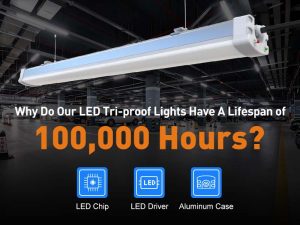 LED ceiling tri-proof light fixture