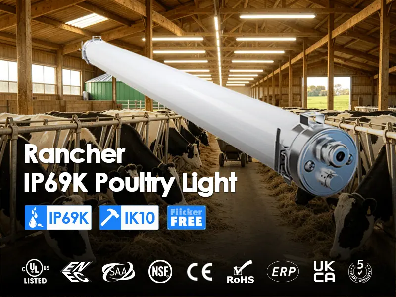 Rancher IP69K Tri-proof Light
