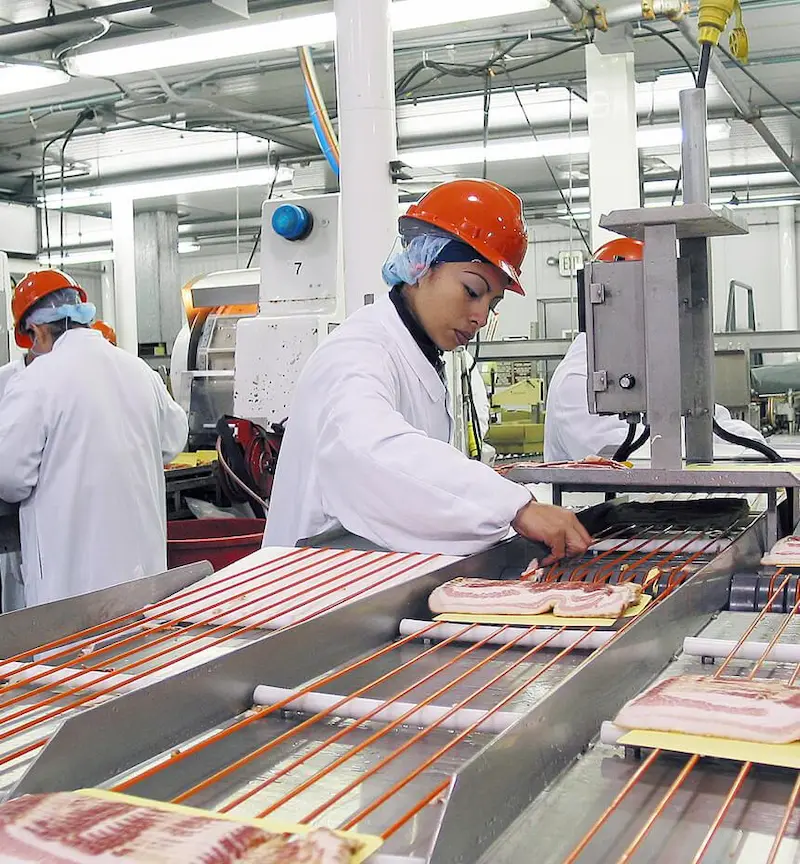 Meat processing line with overhead lighting.