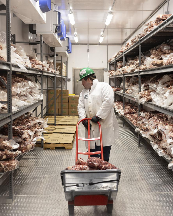 lighting for food cold storage