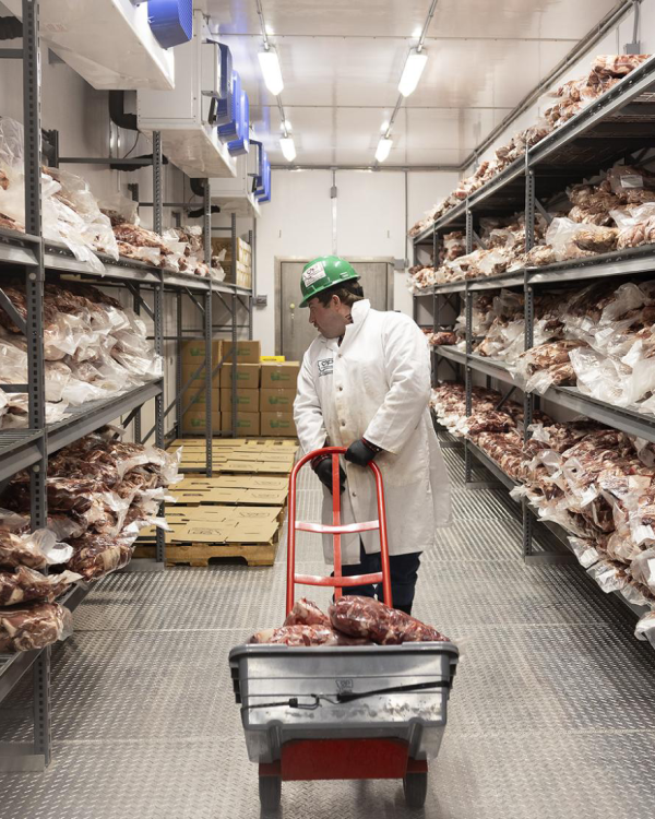 Lighting for food cold storage