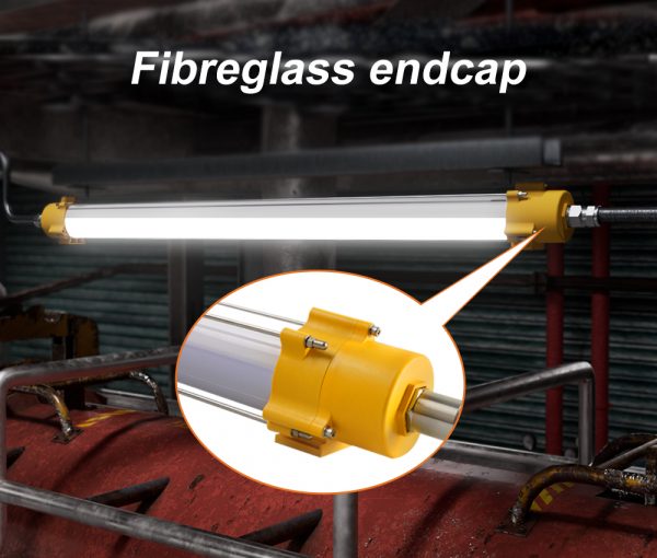 Explosion proof Lights (5)