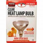 Incandescent poultry lighting