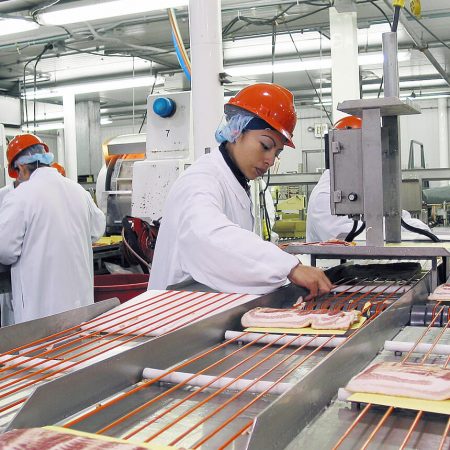Meat Processing Plants