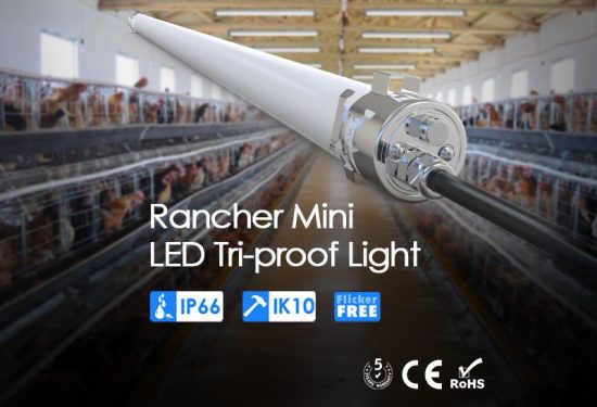 IP66 tubular light